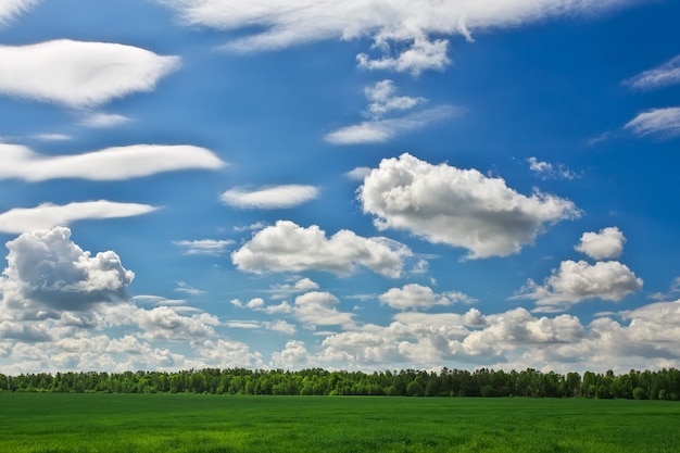 Beau champ vert et ciel bleu nuageux.