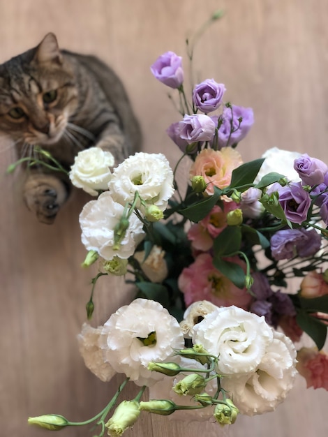 Beau chat rayé jouant avec des fleurs vase en verre de fleurs sur le sol ou sur la table