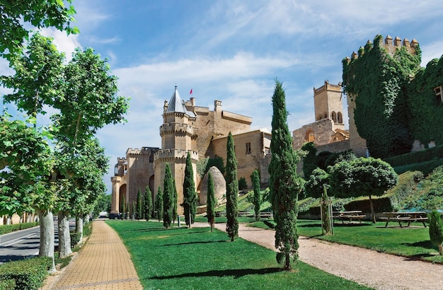 Beau château Olite en Espagne