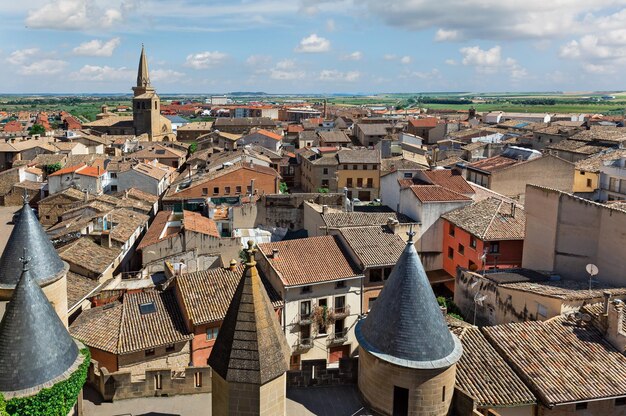 Beau château Olite en Espagne