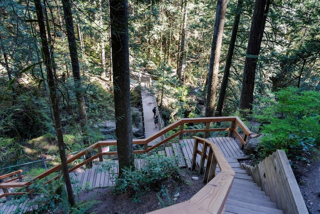 Beau chemin en bois dans la forêt tropicale Lynn Canyon Park Twin Falls Bridge North Vancouver BC