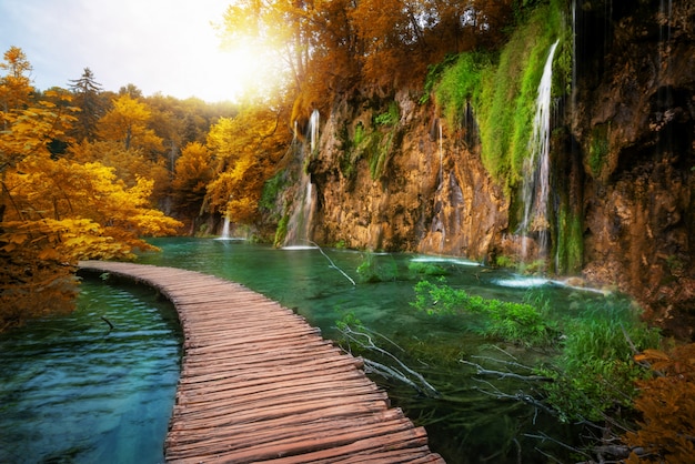 Photo beau chemin en bois dans le lac plitvice, croatie.