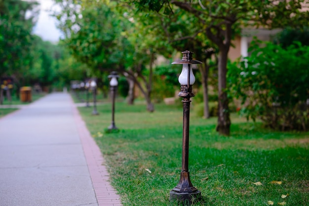 Beau chemin dans le parc