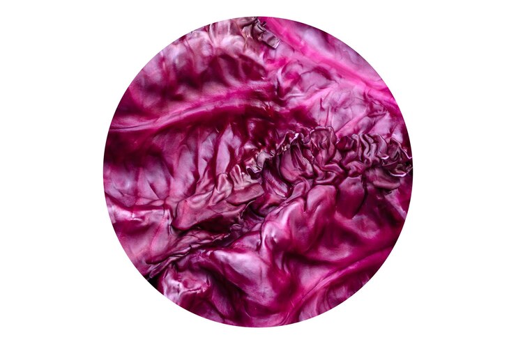 Photo beau chou rouge frais avec des feuilles texturées sur un fond de béton foncé cuisine végétarienne