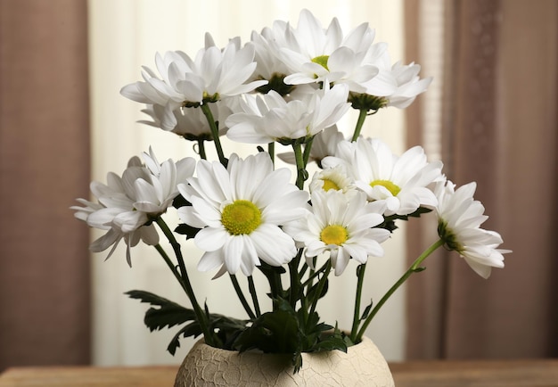 Beau chrysanthème en pots sur fond de tissu