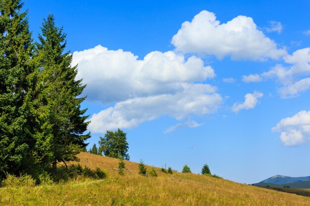 Beau ciel bleu avec des cumulus blancs sur la montagne des Carpates d'été (Ukraine, district de Verkhovyna, région d'Ivano-Frankivsk).