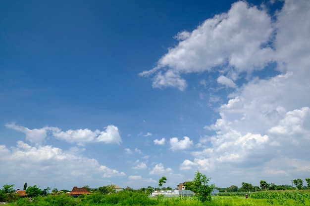 Beau ciel bleu avec des nuages blancs, le format long peut utiliser la bannière, l'arrière-plan, le papier peint