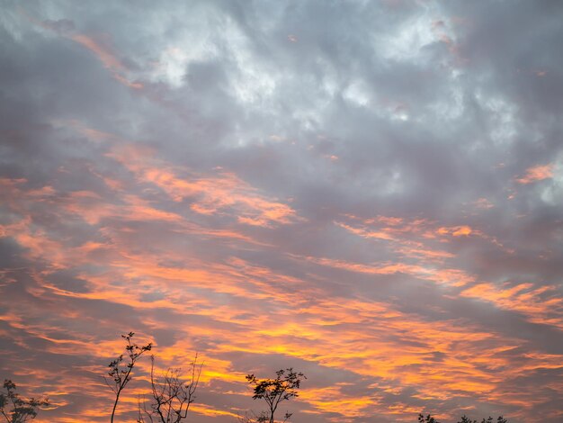 Beau ciel coucher de soleil doré avec nuage