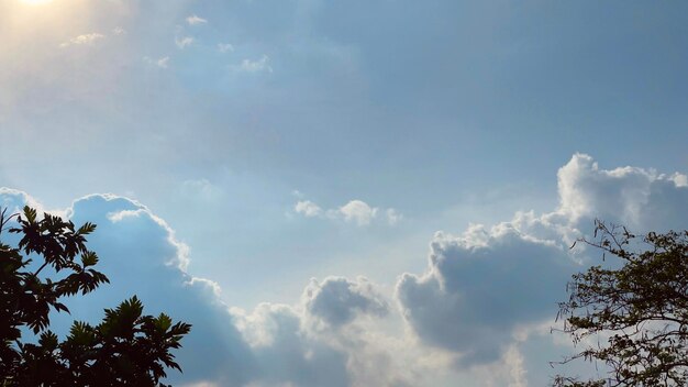 Un beau ciel avec des nuages duveteux