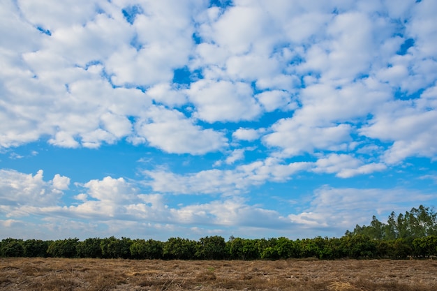 Beau ciel et nuages