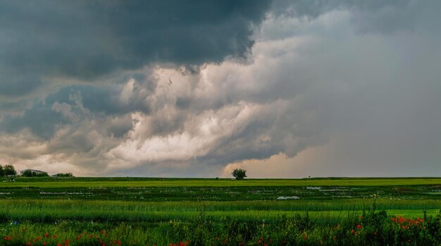 Beau ciel orageux dramatique dans un champ à l'extérieur de la ville