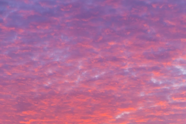 Beau ciel rose de lever de soleil. Fond naturel