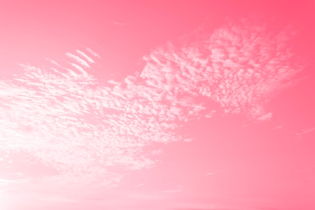 Beau ciel rose avec des nuages blancs, fond, bannière