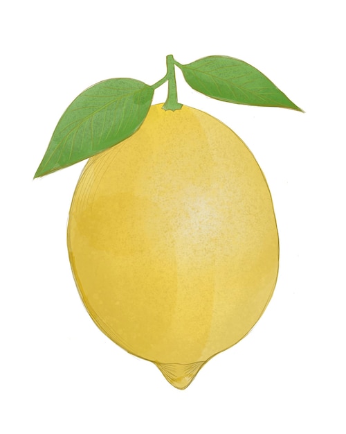 Beau citron sur un fond blanc