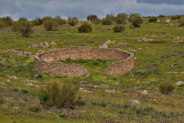 Beau cliché d'une bergerie ronde