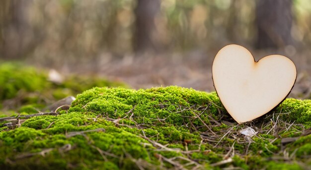 Photo un beau cœur en bois