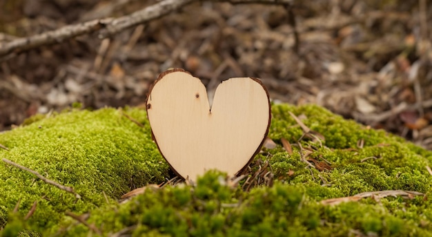 Photo un beau cœur fait de bois d'arbre dans une belle forêt