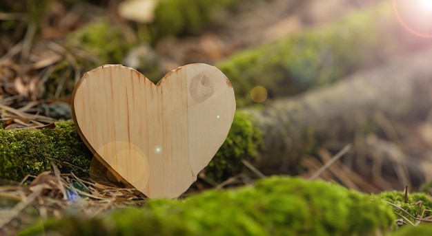 un beau cœur fait de bois neuf