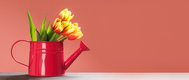 Beau et coloré bouquet de tulipes