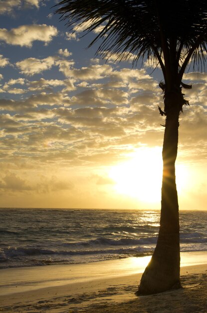 Beau coucher de soleil au dessus de la mer