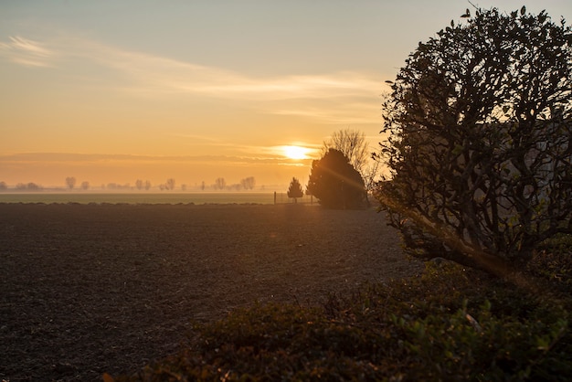 Beau coucher de soleil à la campagne en hiver dans le nord-est de l'Italie