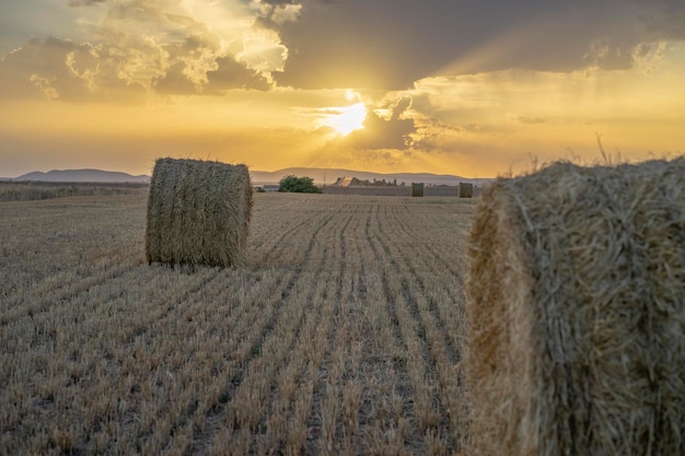 Beau coucher de soleil dans la nature