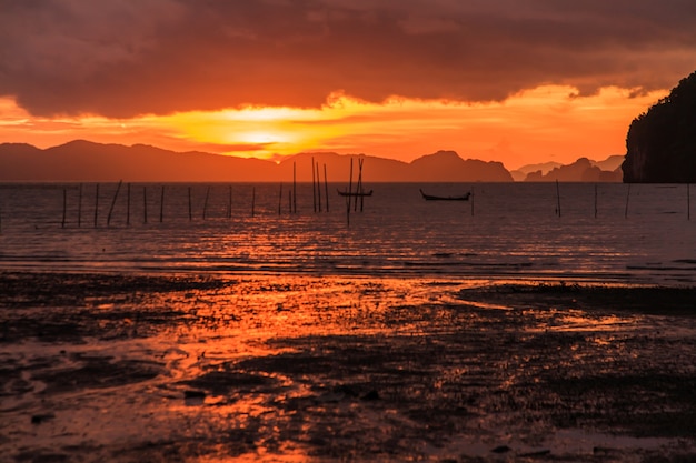 Beau coucher de soleil depuis la côte et la mangrove