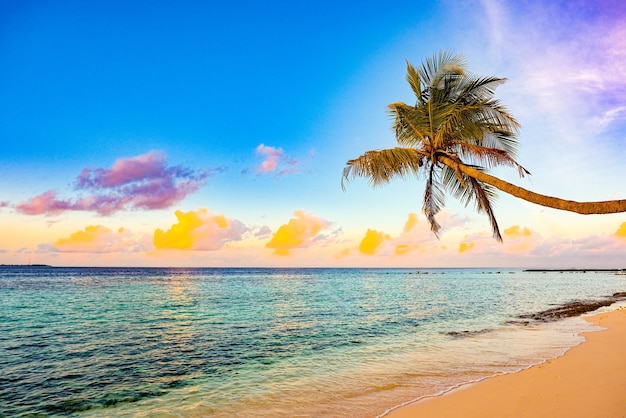 Beau coucher de soleil du soir sur la côte de l'île des Maldives