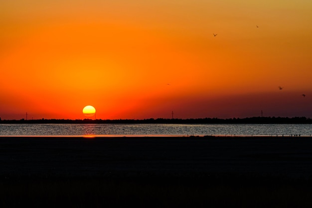 Beau coucher de soleil sur le lac aux huîtres près de la ville Lazurnoe Ukraine