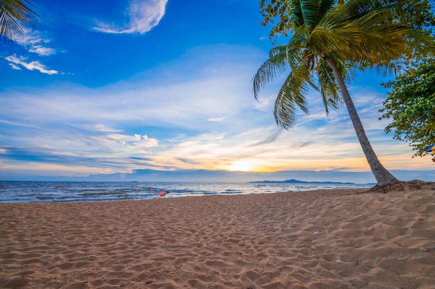 Beau coucher de soleil à la mer