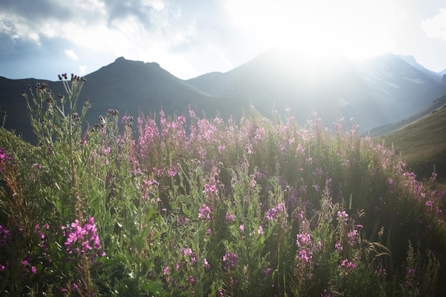 Beau coucher de soleil en montagne