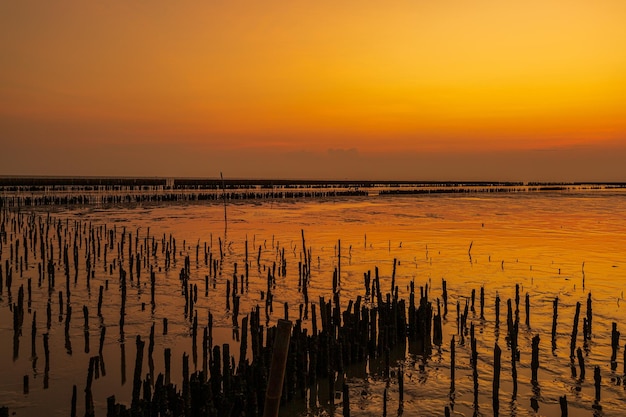 Beau coucher de soleil orange sur la mer Le soleil se couche à l'horizon Paysage de mer relaxant Violet