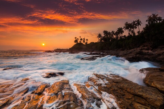 Beau coucher de soleil sur une plage de sable avec des palmiers Sri Lanka