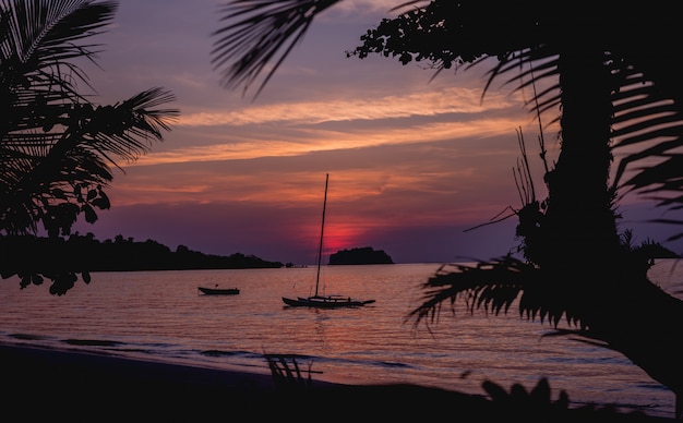 Beau coucher de soleil sur la plage sous les tropiques. Ciel et océan