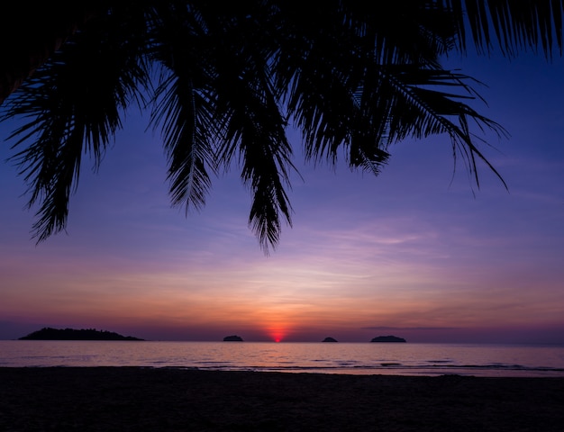 Beau coucher de soleil sur la plage sous les tropiques. Ciel et océan