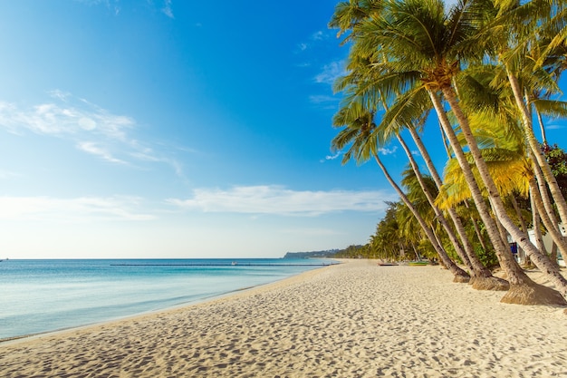 Beau coucher de soleil sur la plage tropicale Cocotiers mer voilier et sable blanc