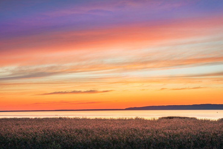 Photo beau coucher de soleil rose sur le lac galich dans la région de kostroma