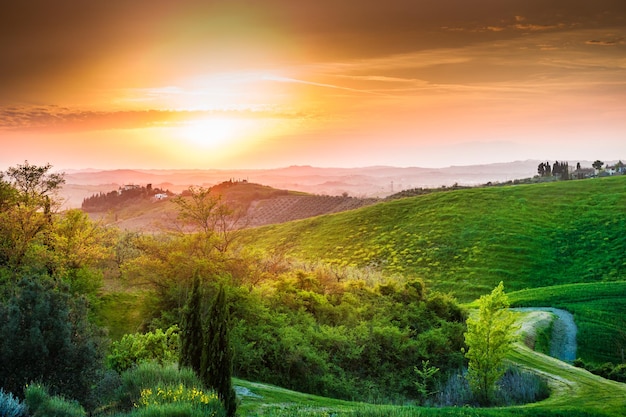 Beau coucher de soleil en Toscane, Italie. Paysage d'été