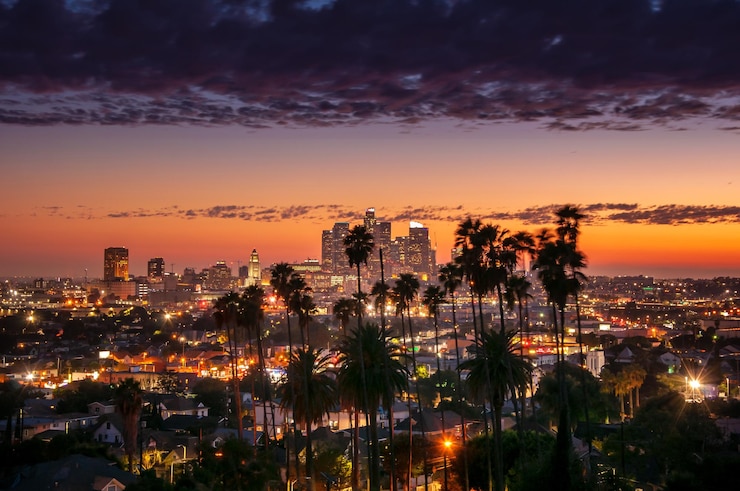 Photo beau coucher de soleil à travers les palmiers los angeles californie