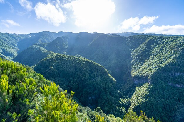 Beau coup de montagnes vertes