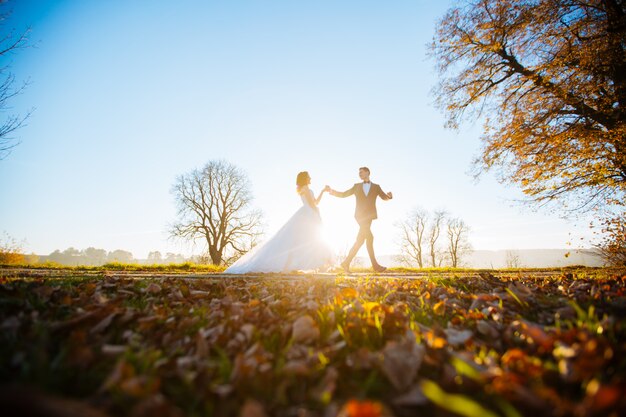 Beau couple élégant de jeunes mariés heureux sur une promenade dans le parc ensoleillé d'automne le jour de leur mariage