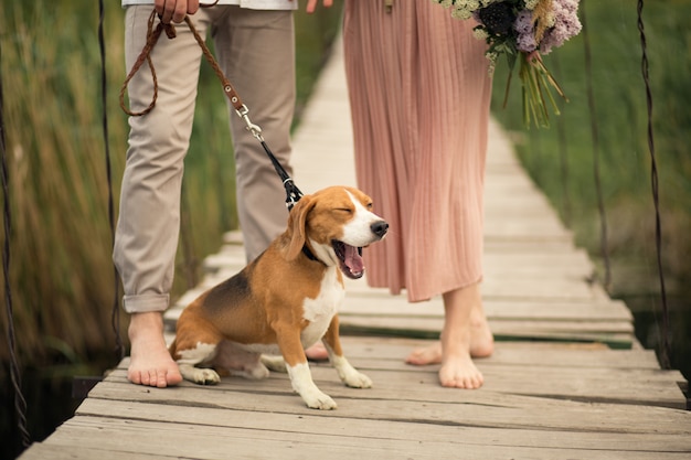 Beau couple marchant avec pont de chien.