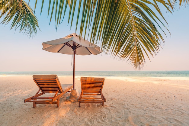 Beau couple de paysages de coucher de soleil tropical chaises chaises longues parapluie sous palmier