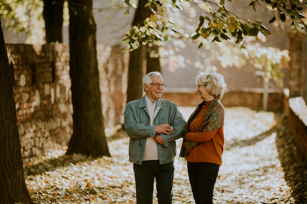 Beau couple de personnes âgées marchant dans le parc en automne