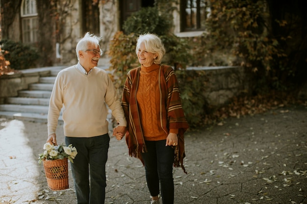 Beau couple de personnes âgées marchant avec un panier plein de fleurs et d'épicerie dans le parc d'automne