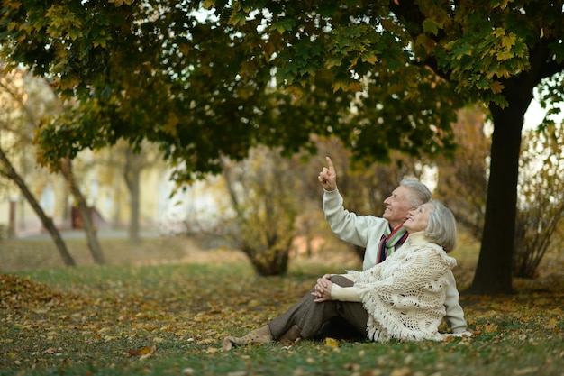 Beau couple de personnes âgées de race blanche dans le parc en automne, homme montrant quelque chose