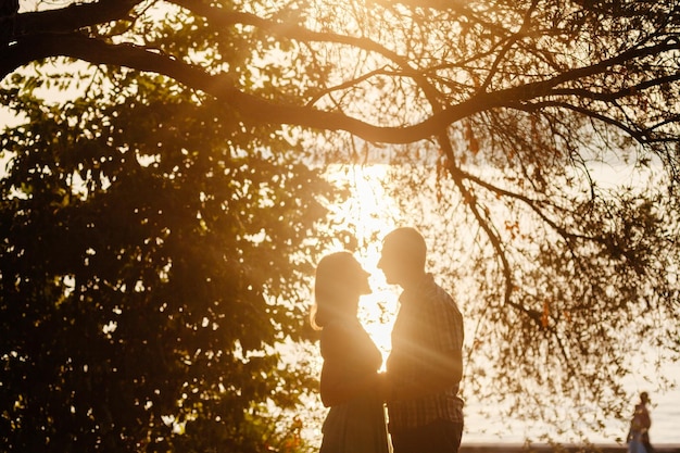 Beau couple se détendre dans le parc avec la silhouette de la lumière du soleil