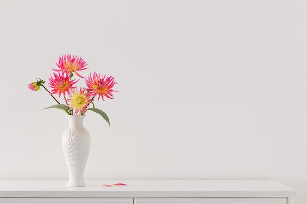 Beau dahlia rose dans un vase blanc sur fond blanc