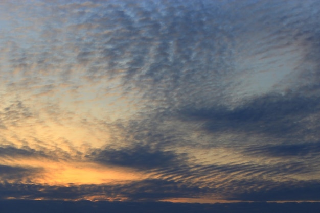 beau déclin d'été avec ciel noir et soleil