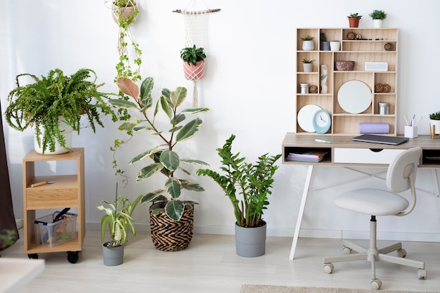 Beau design d'intérieur avec des plantes